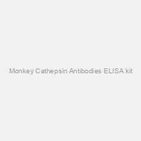 Monkey Cathepsin Antibodies ELISA kit